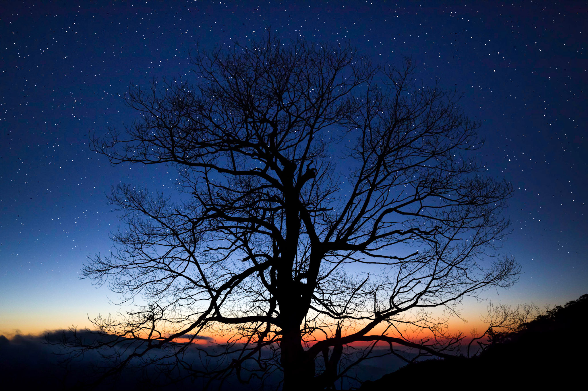 First Light in Shenandoah National Park